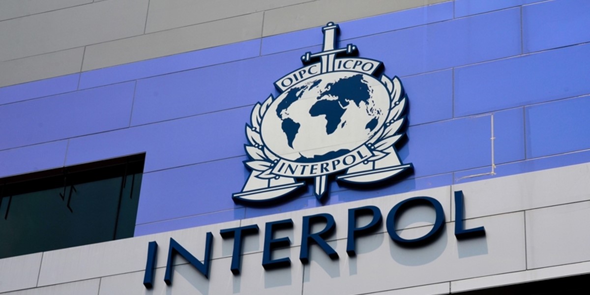INTERPOL seized 1 185 vehicles